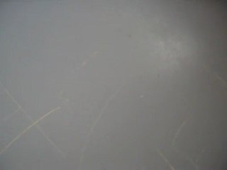 meline qui se change elle chante biien la jumelle mdr