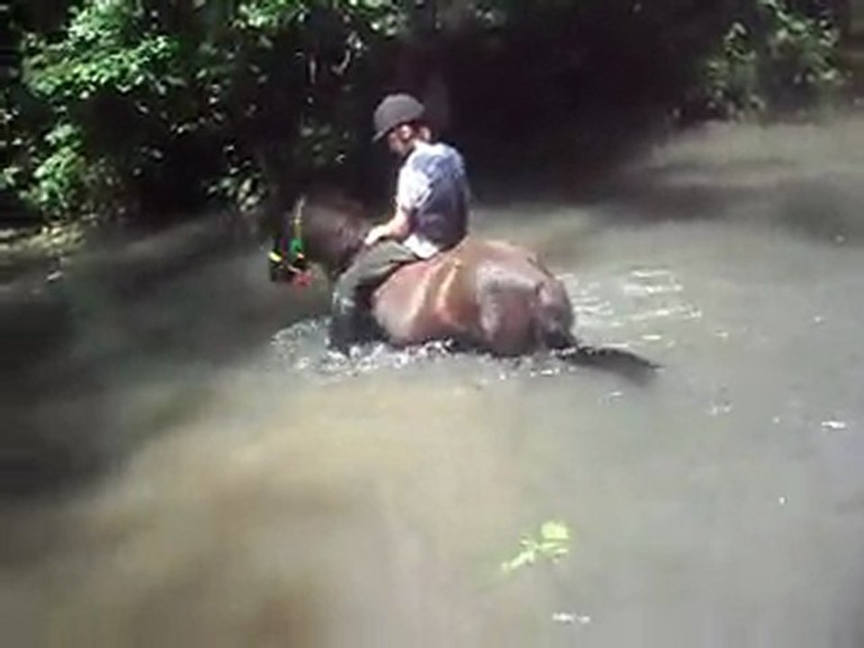 A poney! Stage été cavaliers autonomes endurants