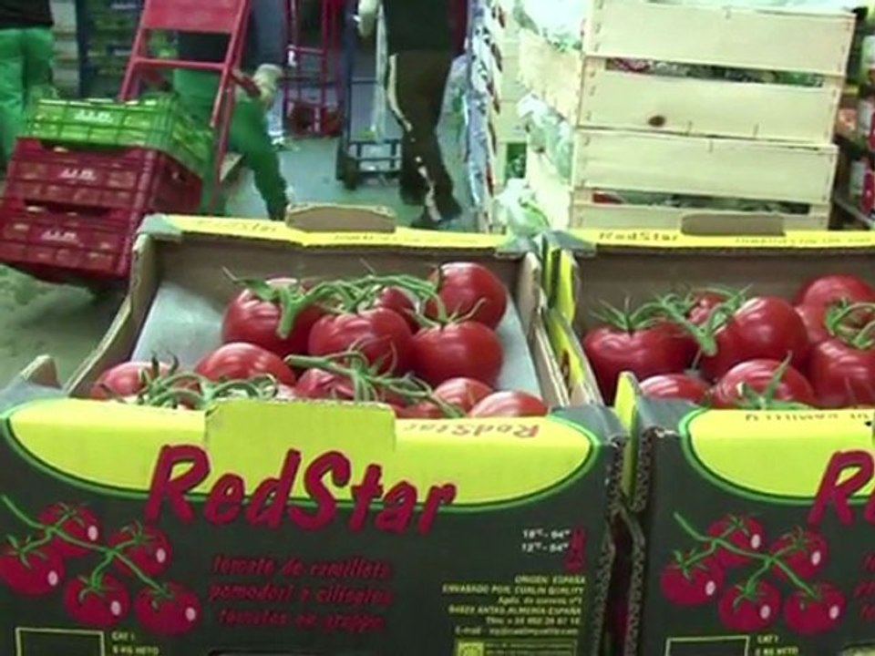 EHEC: Furcht vor Ausbreitung der gefährlichen Infektion wächst