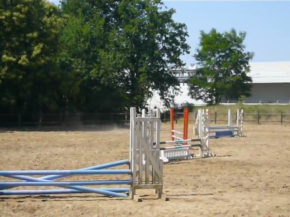 Gwenaelle & Simbad des Prés, Anadé le 2 juin 2011, Poney4.