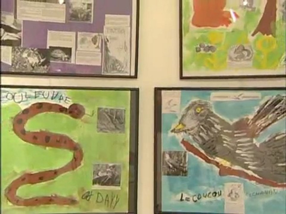 Cavalaire - Exposition La Forêt, l'Homme, le Feu