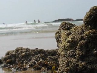 Batz sur Mer : art