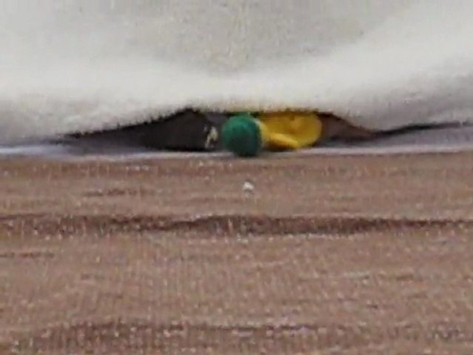 31-05-11 Spectacle  005