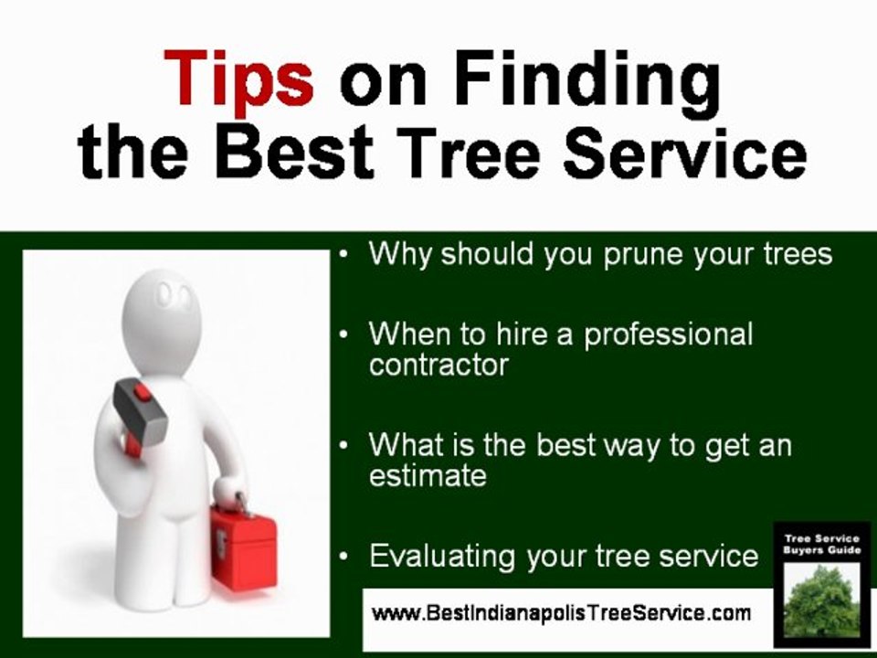 Indianapolis Tree Service - Tree Service in Indianapolis