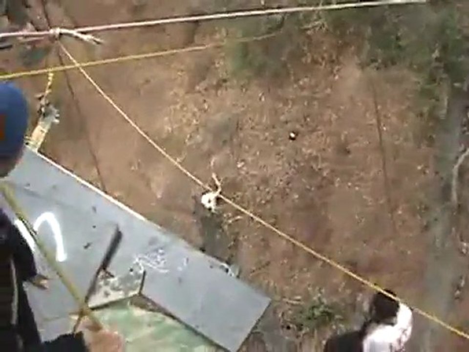 Das war auch wirklich eine dumme Idee Fail