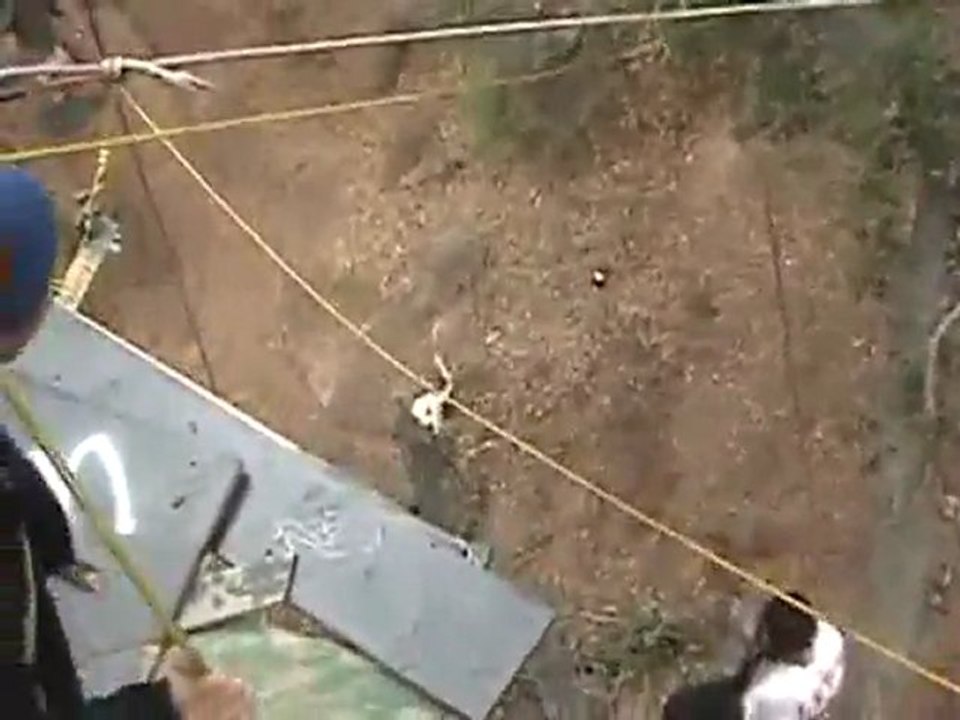 Das war auch wirklich eine dumme Idee Fail