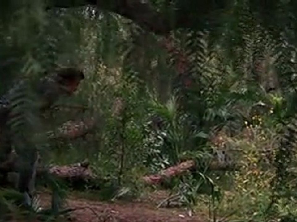 Unutulan Kabile 2010 part 3