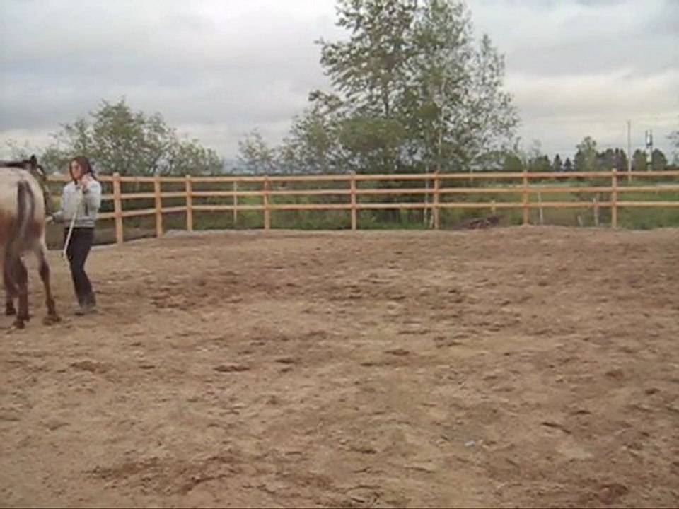 Séance du 2 juin 2011