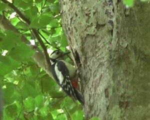 Le Domaine du Val     Planguenoual