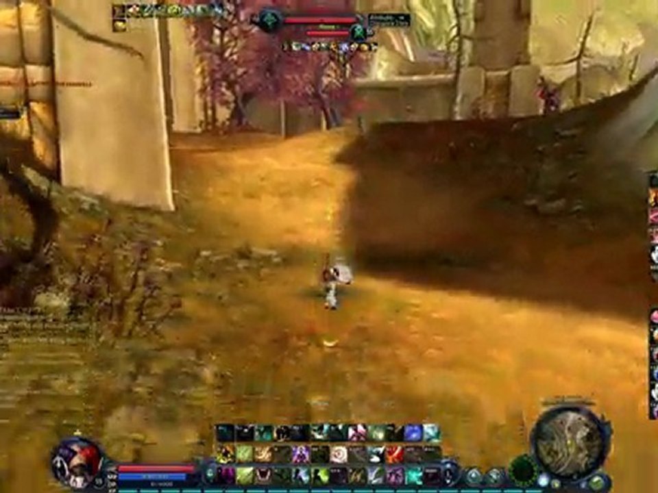 Aion Asmo Assassin 2.5 pvp