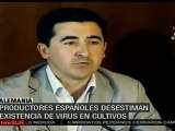 Productores españoles desestiman virus en sus cultivos