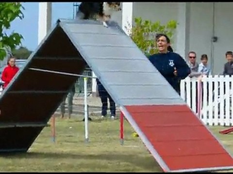 20110602 parentis excel little blue