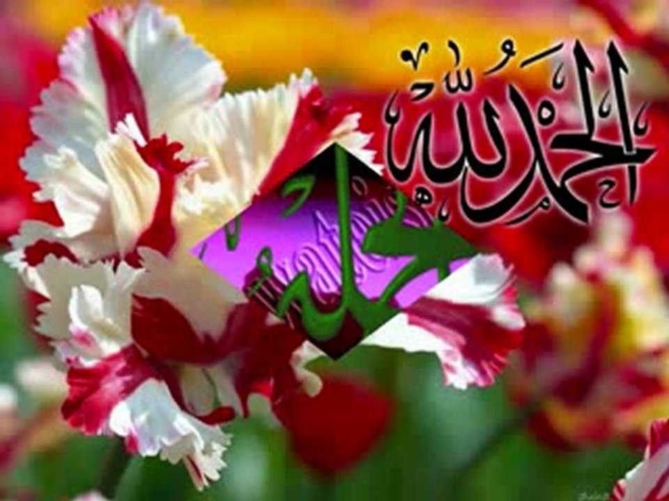 ***UNUTULAN ADAM***Sedat Uçan - __Gel ALLAH de__ ***UNUTULAN ADAM***