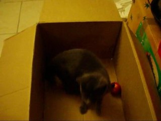 super Mimi Legrand Fev 2009 M&F s  mag98 Tous droits réservés .