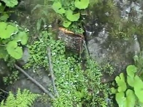 hazindak parkur yürüyüş yolu