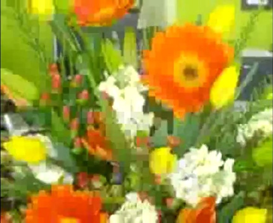 Antonieta's Designs