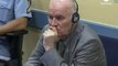 Mladic slams 'monstrous' war crimes charges