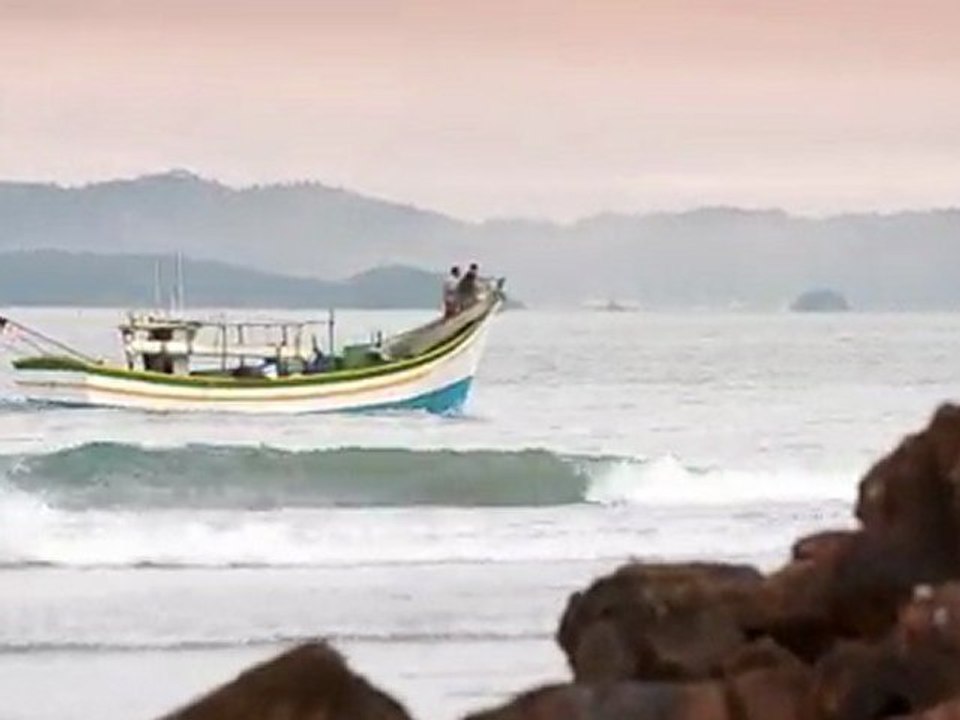Siebert Surfboards