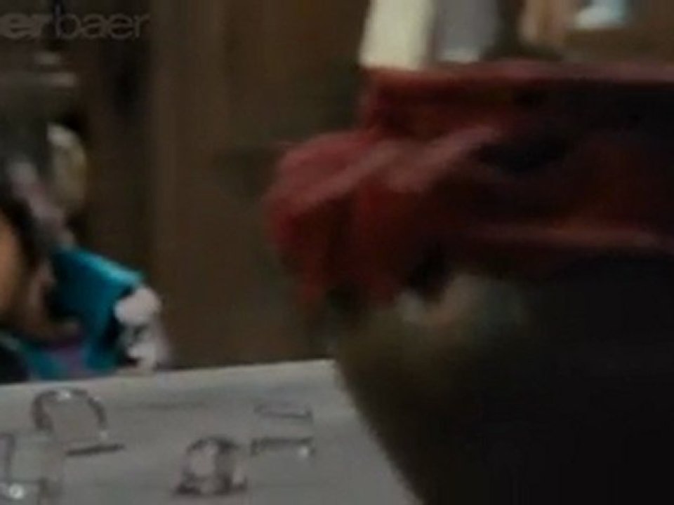 Teen Thay Bhai (2011) *DVD Rip^ Part 4 @ TELLY-TV.COM