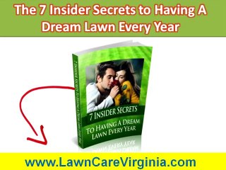 Lawn Care Company Staunton VA|Lawn Aeration