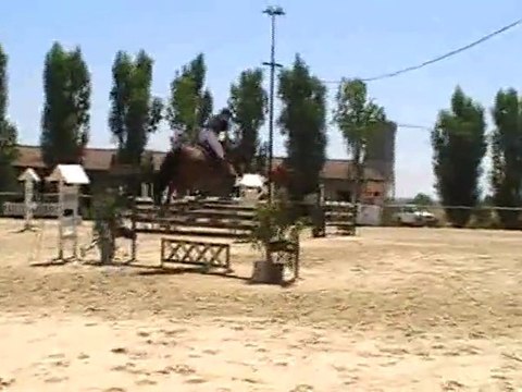 roi de briere vacquiers 2