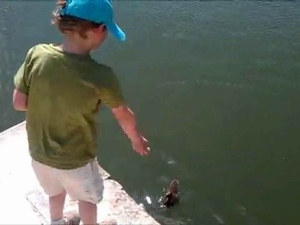 Le canard Versailles - 03-06-2011