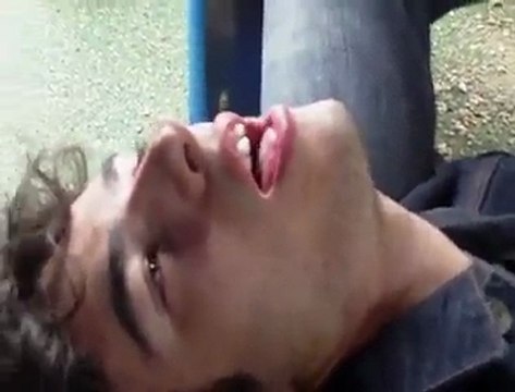 NF Les bêtisiers de la Nains Faux - Le blog de nains-faux