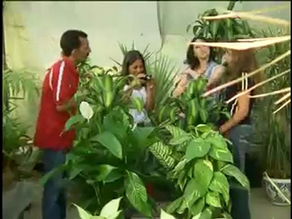 aziz el berkani [www.keepvid.com]