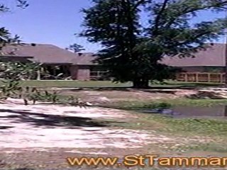 St Tammny Real Estate - Dominion Subdivision - ...