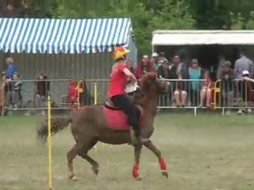 Pony Games Challenge Ch'tis Ouest  2011 Condé Manche 3 Minimes du Logis du Poney