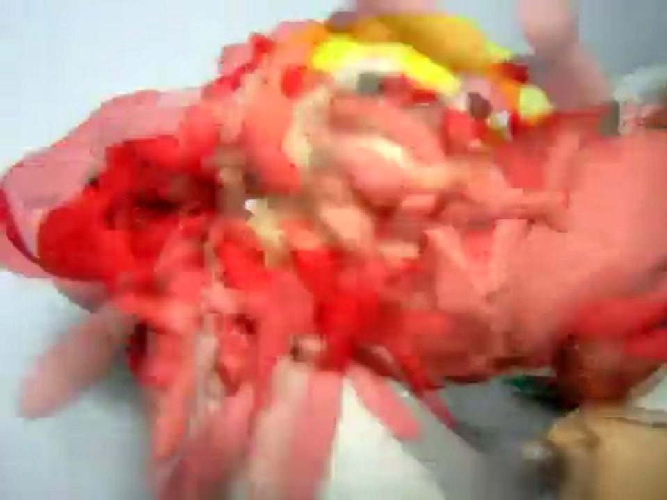 La Belcho Band. Como te pille por el facebook. Videoclip