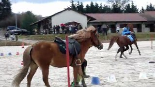 Brigade des Stup'S pony mounted games
