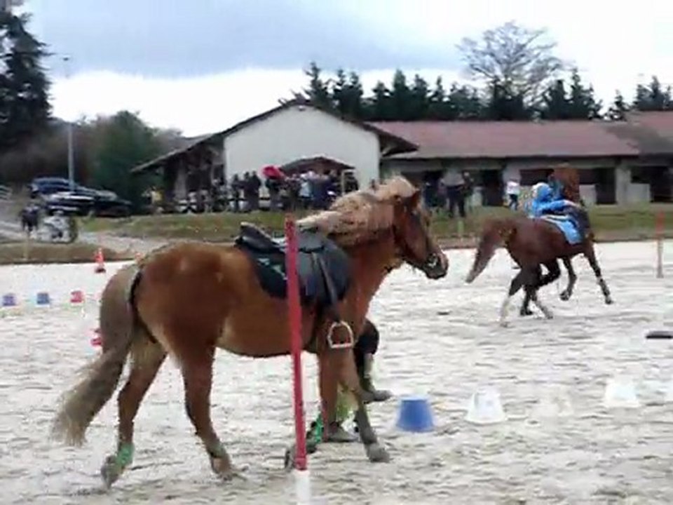 Brigade des Stup'S pony mounted games