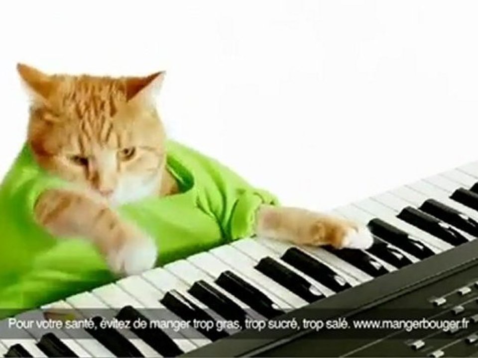 Publicité Wonderful pistache chat