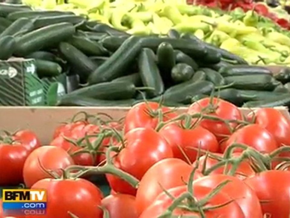 E.coli : des mesures de précautions s’imposent