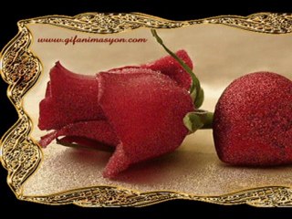 Gülseren Gül & Kopamam