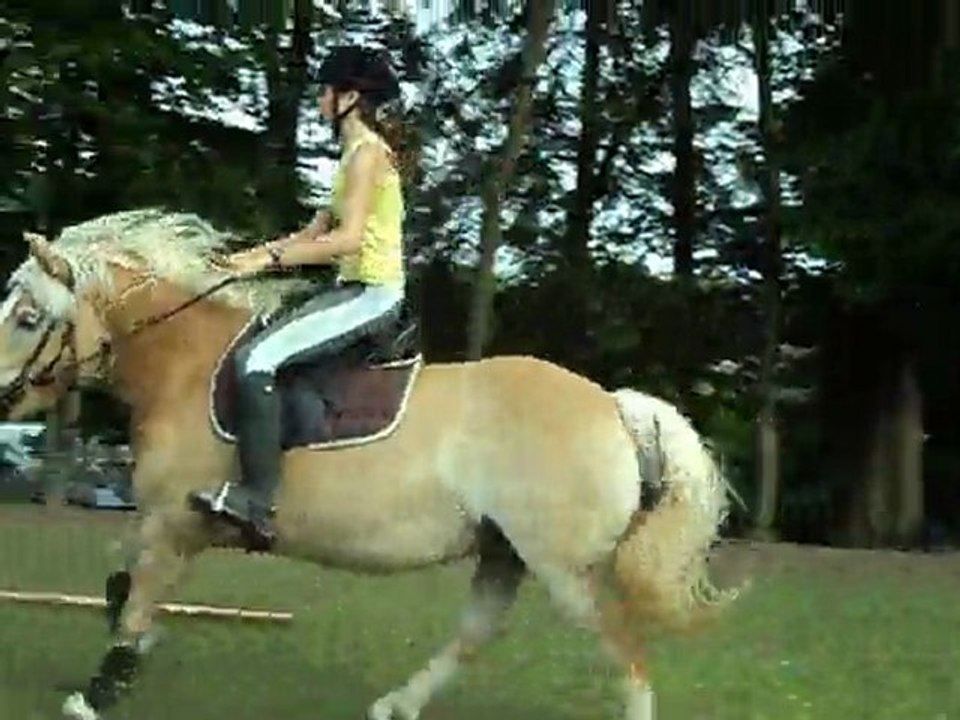 ma jument et moi en saut le 3 juin 2011