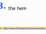 Chiropractors in Lancaster PA-Chiropractor in Lancaster PA