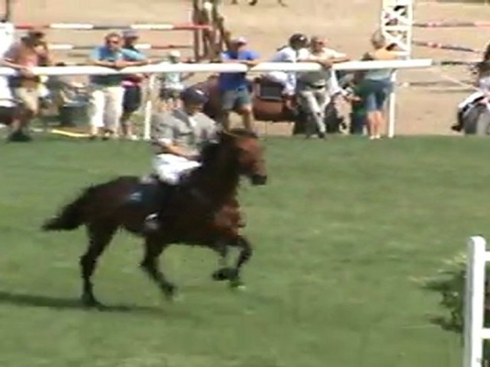 HEC 04/06/11