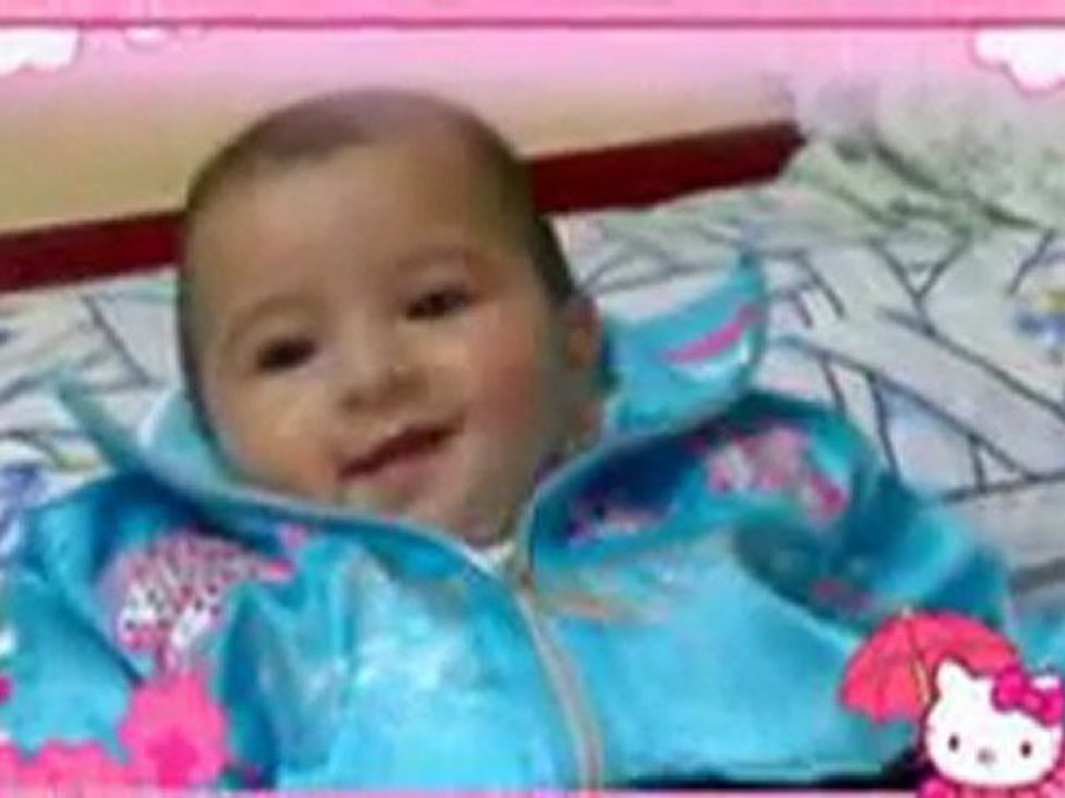 gamal D.J