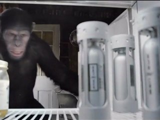 La Planète des Singes : Les Origines (Rise of the Planet of the Apes) - Spot TV #1 [VO|HD]