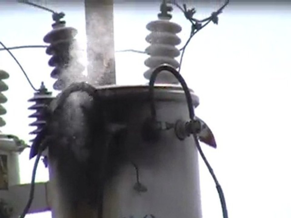 Los Fumadores de Corpoelec