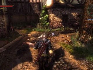 Vidéotest The Witcher 2