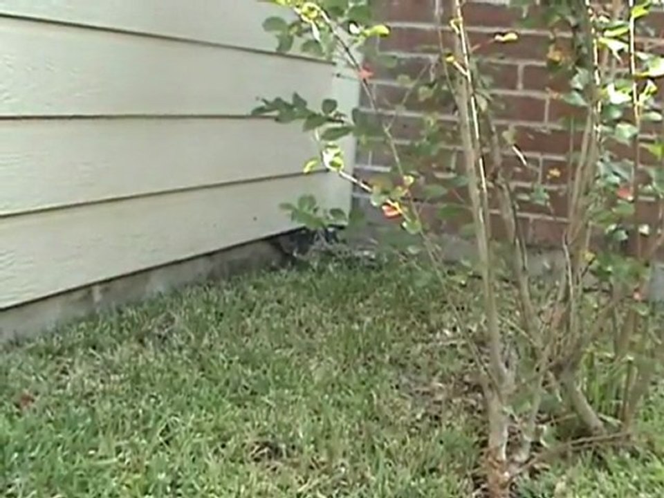 Houston Home Inspector: Flashing Issue Water Penetration 2