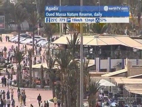 Amsterdam - Netherlands, Antibes - Juan-les-Pins - France, Ekaterinburg - Russia, Agadir - Morocco, Sydney - Australia, Ascona - Ticino - Switzerland, Venice - Italy