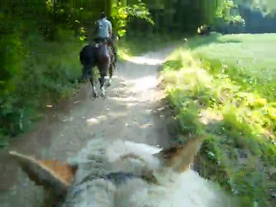 Turbo poney... :-)