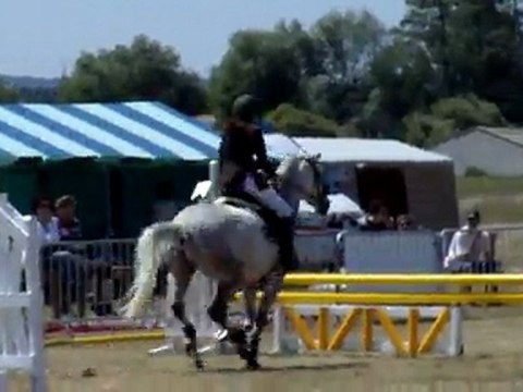 CSO Championnat Départemental SISSONE, D4p. 2 juin 2011.