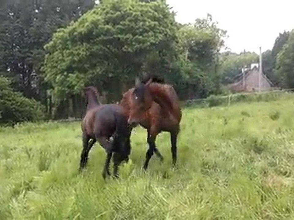 jeux avec quemil
