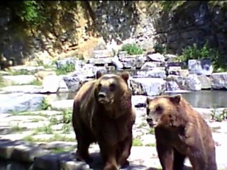 Grotte de Han Réserve d'Animaux Sauvages