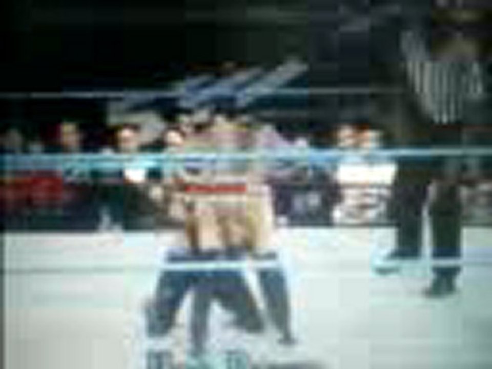 Wesley Holiday Finisher (Hoedown on Rosa Mendes)